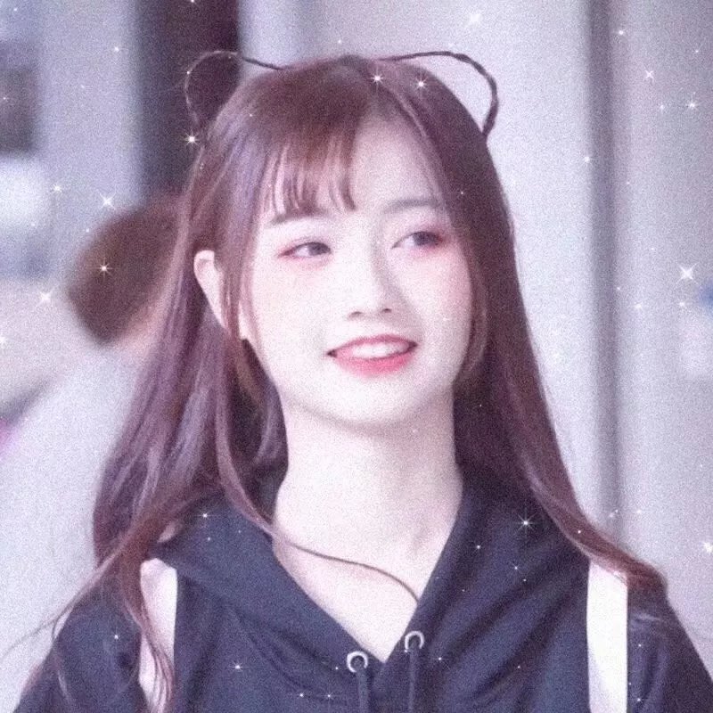 台北女子图鉴